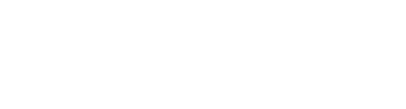 Vitamin Shoppe Logo